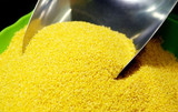有机黄小米月子米小黄米宝宝米粗粮250g新鲜农产品小米粮食农家米