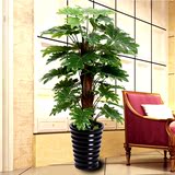 绿植盆栽摆件发财树仿真植物假花客厅办公酒店假花落地包棕大叶