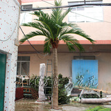 仿真椰子树大型景观树室内外人造大树假树绿色植物美化装饰树