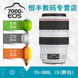 佳能EF 70-300 mm f/4-5.6L IS USM 佳能红圈镜头70-300 胖白包邮