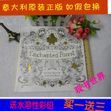 英文正版魔法森林Echanted forest填色本涂色书成人画册上色手绘