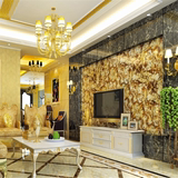 大将军瓷砖陶瓷 客厅地砖3-MWJ88033P电视背景墙砖800*800 微晶石