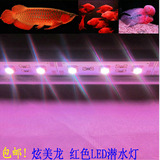 炫美龙鱼缸灯 罗汉鹦鹉红龙led潜水灯 水族箱灯龙鱼灯双排1米1.2