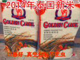 包邮 2014新米原装进口金骆驼特级泰国茉莉香米非转基因大米