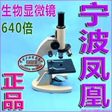 高品质40X-640X专业高倍光学生物显微镜XSP-02教学实验器材