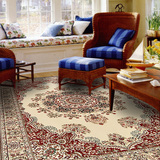 开利欧式客厅卧室地毯床边毯仿羊毛高密度防滑吸水茶几脚垫进门毯