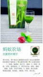 蚂蚁农场青汁纯天然青汁排毒美颜瘦身大麦幼苗中国最细500目