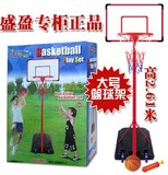 青少年大号篮球架子儿童可升降家用篮筐成人球框室内投篮筐铁杆