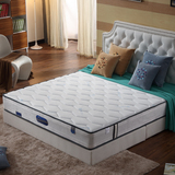 两用床垫 乳胶床垫1.5m 1.8m席梦思 3E环保椰棕  品牌直销零分贝
