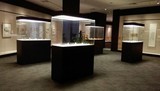 博物馆展示柜玻璃展柜木质烤漆货架玉器古玩展示柜专业订做