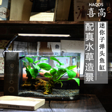HAQOS2016玻璃水族箱桌面造景办公子弹头创意迷你家用生态鱼缸