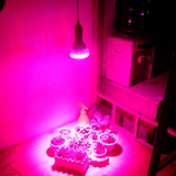 LED植物生长补光灯套装 12W大功率高效促生长 大棚阳台室内育苗灯