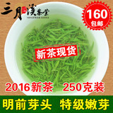 【现货】2016年新茶叶信阳毛尖明前芽头高山特级嫩芽绿茶250g包邮