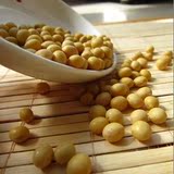 优质东北小黄豆　可发芽　黄豆 豆浆 专用 　非转基因500g