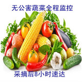 北京农家土特产/新鲜有机蔬菜 净菜 礼盒箱 套餐/北京同城配送