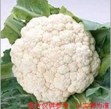 【广惠】 天津 蔬菜配送 新鲜蔬菜 有机菜花 同城送货 网上买菜