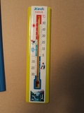 室内温度计 温度表 精准温度计 库房 家用温湿度计 玻璃温度计