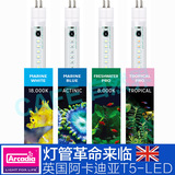 英国阿卡迪亚 T5HO-LED灯管 海水LED灯 珊瑚灯 任何T5灯盘均能用