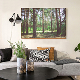 森林 摄影北欧风景挂画艺术单幅巨幅客厅装饰画现代简约卧室树林