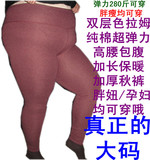 大码胖MM孕妇超弹色拉姆护腰护膝双层加厚打底保暖裤子女士秋裤