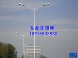 双臂路灯6米7米8米10米12米自弯臂路灯双头道路灯广场小区路灯杆