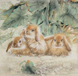 法国DMC十字绣 纯棉线 正品专卖 客厅大幅  大画  三只兔子