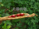 纯天然红豆杂粮红小豆 小红豆 农家自产 500克珍珠