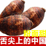 广西特产柚子桂林特产正宗荔浦糯\面\粉香芋头 中国名菜10斤包邮