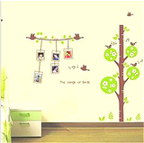 新品唱歌的小鸟照片树可移除三代墙贴画创意儿童房卡通照片墙组合