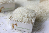 新米 正宗黑龙江特产 五常稻花香大米纯天然非转基因东北大米5kg