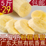 香蕉banana广东惠州青香蕉新鲜水果芭蕉有机无公害包邮农家直供