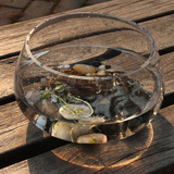 乌龟活体水族箱玻璃生态龟缸金鱼缸造景小中大型观赏龟缸