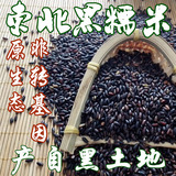黑糯米 东北农家自产有机 紫糯米 血糯米五谷杂粮特产粽子米500g