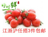 新鲜水果 迷你小番茄 圣女果 千禧果 小西红柿 水果沙拉