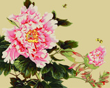 diy数字油画特价手绘客厅餐厅花卉中国风填色装饰画40*50牡丹吐露
