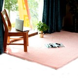 米黄色新款紫色丝毛柔软居家布艺地客厅茶几卧室床边毯定制地毯