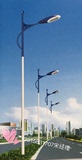 6米户外工程路灯led路灯杆3米4米5米7米8米9米10道路高杆灯厂区灯
