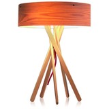 设计师现代简约时尚艺术木质实木创意客厅卧室书房床头书桌 台灯