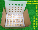 珍珠棉鸡蛋托30枚 泡沫鸡蛋包装鸡蛋快递礼盒专用 鸡蛋盒通用装