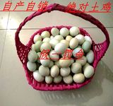 土鸡蛋农家散养新鲜礼盒自养绿壳正宗杂粮包邮营养月子蛋天然