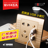 国际电工双USB5五孔插座 86型墙壁电源充电面板 2.1A双USB插座