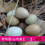 【20枚】野鸡蛋农家散养纯天然山鸡蛋土鸡蛋自养七彩山鸡蛋野鸡蛋