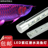 超高亮led 鱼缸灯 三基色 龙鱼专用灯 紫红色 红龙鱼LED潜水灯
