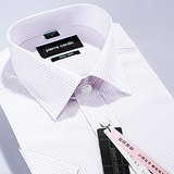 皮尔卡丹衬衫专柜正品高端商务雅致白地贵气紫色条纹男短袖桑蚕丝