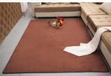 特价加厚珊瑚绒纯色简约卧室满铺地毯客厅茶几地毯可定做圆形正方