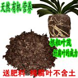 君子兰营养土橡树叶盆栽植料培养土有机腐叶土肥料花卉种植土包邮