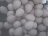 珍珠鸡种蛋   珍珠鸡受精蛋   珍珠鸡孵化用蛋