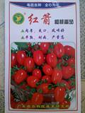 省农科院粤蔬红箭樱桃番茄种子 西红柿 圣女果种子 0.2克约100粒