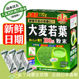 日本山本汉方 大麦若叶青汁粉末 抹茶风味 青汁排毒3g*44小袋