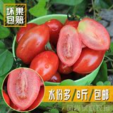 樱桃番茄水果圣女果樱桃小西红柿小蕃茄新鲜绿色无公害6斤包邮
